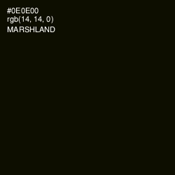 #0E0E00 - Marshland Color Image