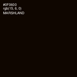 #0F0600 - Marshland Color Image