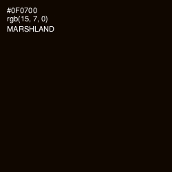 #0F0700 - Marshland Color Image