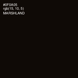 #0F0A05 - Marshland Color Image