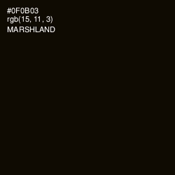 #0F0B03 - Marshland Color Image
