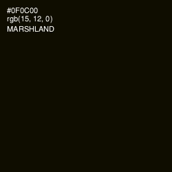 #0F0C00 - Marshland Color Image