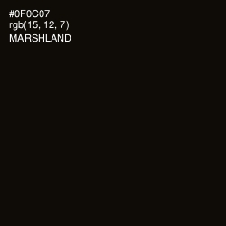 #0F0C07 - Marshland Color Image