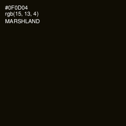 #0F0D04 - Marshland Color Image
