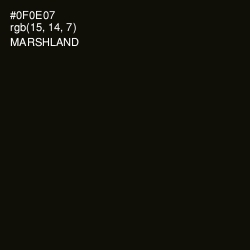 #0F0E07 - Marshland Color Image