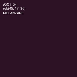 #2D1124 - Melanzane Color Image