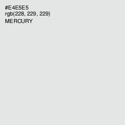 #E4E5E5 - Mercury Color Image