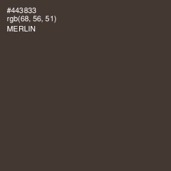 #443833 - Merlin Color Image