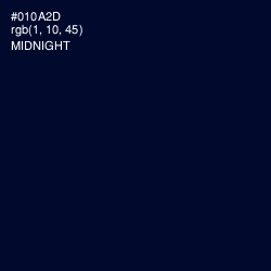 #010A2D - Midnight Color Image