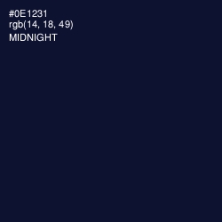 #0E1231 - Midnight Color Image