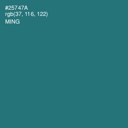 #25747A - Ming Color Image