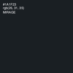 #1A1F23 - Mirage Color Image