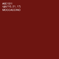 #6E1511 - Moccaccino Color Image