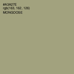 #A3A27E - Mongoose Color Image