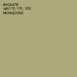 #ACAA7B - Mongoose Color Image