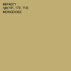 #BFAD71 - Mongoose Color Image