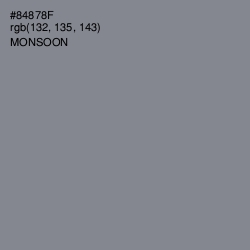 #84878F - Monsoon Color Image