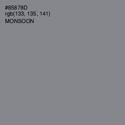#85878D - Monsoon Color Image
