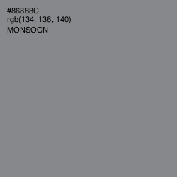 #86888C - Monsoon Color Image