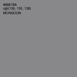 #88878A - Monsoon Color Image