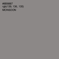 #8B8887 - Monsoon Color Image