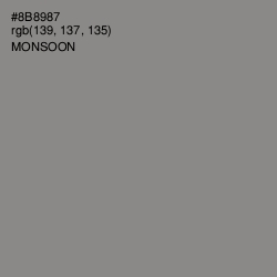#8B8987 - Monsoon Color Image