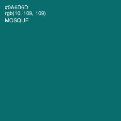 #0A6D6D - Mosque Color Image