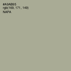 #A9AB95 - Napa Color Image
