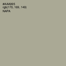 #AAA995 - Napa Color Image