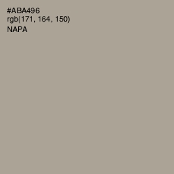 #ABA496 - Napa Color Image