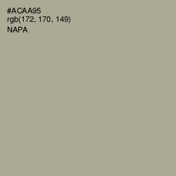 #ACAA95 - Napa Color Image