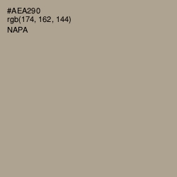 #AEA290 - Napa Color Image
