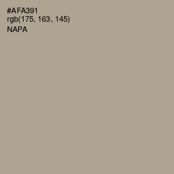 #AFA391 - Napa Color Image