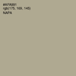 #AFA991 - Napa Color Image