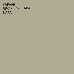 #AFAA91 - Napa Color Image