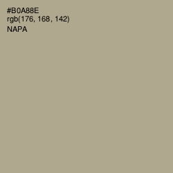 #B0A88E - Napa Color Image