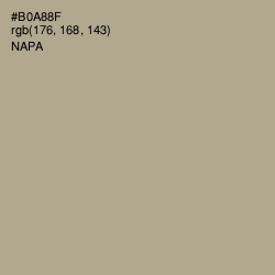 #B0A88F - Napa Color Image