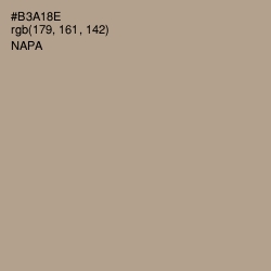 #B3A18E - Napa Color Image