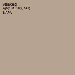 #B5A38D - Napa Color Image