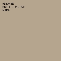 #B5A48E - Napa Color Image