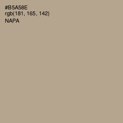 #B5A58E - Napa Color Image