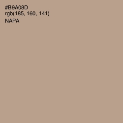 #B9A08D - Napa Color Image
