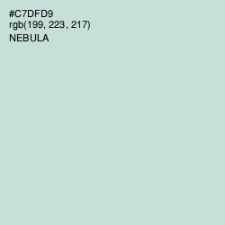 #C7DFD9 - Nebula Color Image