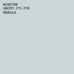 #C9D7DB - Nebula Color Image