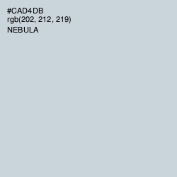 #CAD4DB - Nebula Color Image