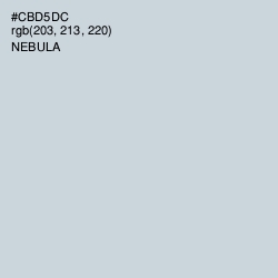 #CBD5DC - Nebula Color Image