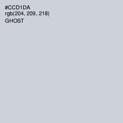 #CCD1DA - Nebula Color Image
