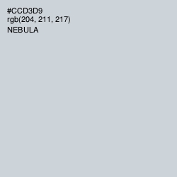 #CCD3D9 - Nebula Color Image