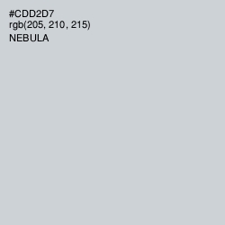 #CDD2D7 - Nebula Color Image
