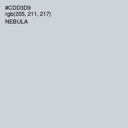 #CDD3D9 - Nebula Color Image